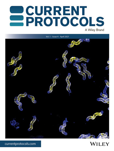 128. Protein conjugation via SpyStapler-mediated SpyTag/BDTag coupling. Curr. Protoc. 2021, 1, e99.