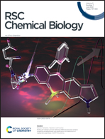 136. Peptide/Protein-Based Macrocycles: From Biological Synthesis to Biomedical Applications. RSC Chem. Biol. 2022, 3, 815-829.