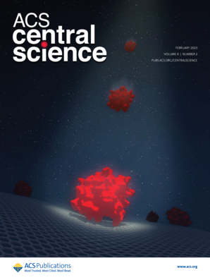 144. Leveraging Macromolecular Isomerism for Phase Complexity in Janus Nanograins. ACS Cent. Sci. 2023, 9, 289-299.